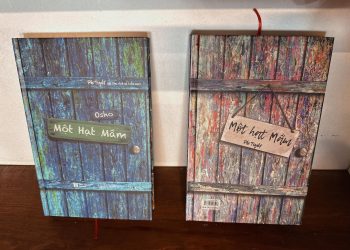 AI THỰC SỰ MUỐN QUAY TRỞ LẠI TUỔI THƠ?