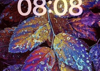 HOÀ GIẢI VỚI CHA MẸ: PHẦN THƯỞNG THIÊNG LIÊNG