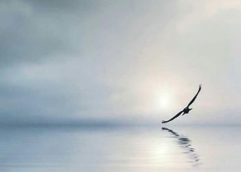 TỰ DO TÔN GIÁO CHO TRẺ CON LÀ GÌ ?