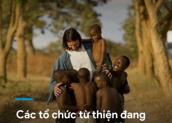 CÁC TỔ CHỨC TỪ THIỆN ĐANG THẬT SỰ LÀM NHỮNG GÌ ?