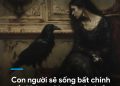 CON NGƯỜI SẼ SỐNG BẤT CHÍNH NẾU HÀNH ĐỘNG CỦA MÌNH KHÔNG BỊ PHÁT HIỆN VÀ TRỪNG PHẠT? CON NGƯỜI SẼ SỐNG BẤT CHÍNH NẾU HÀNH ĐỘNG CỦA MÌNH KHÔNG BỊ PHÁT HIỆN VÀ TRỪNG PHẠT?