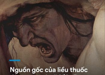 ĐỐ KỴ LÀ MỘT TRONG BẢY ĐẠI TỘI CỦA CON NGƯỜI