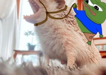 TIPS NHỎ ĐỂ TỰ TIN VÀ CÓ HY VỌNG VÀO BẢN THÂN