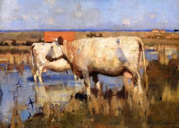 VÌ SAO NHỮNG ẢO TƯỞNG LẠI CẦN THIẾT ĐỂ THÀNH CÔNG