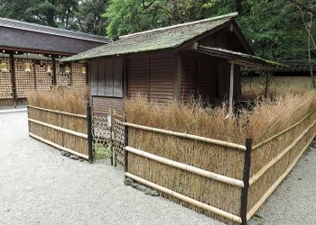 LÀM SAO ĐỂ SỐNG TRONG MỘT TÚP LỀU