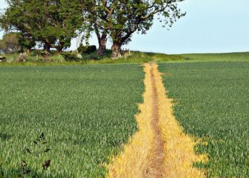 VÌ SAO TA DỄ DÀNG BỊ “KÍCH ĐỘNG” ĐẾN VẬY?